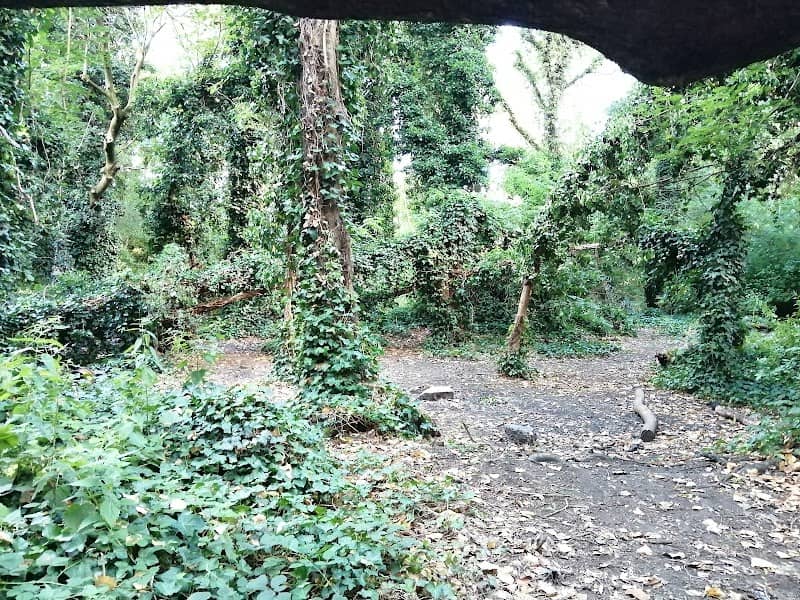 Peascroft Wood - Image 1