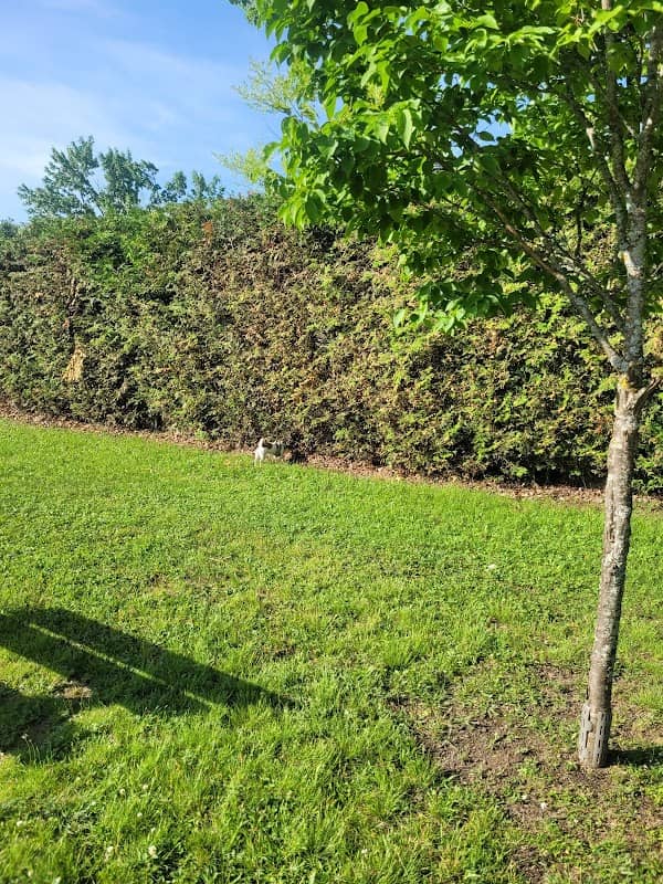 Glenwood Park - Image 1