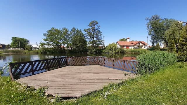 Staw we Wrzoskach - Image 1