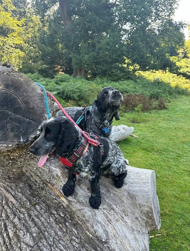 Monty's Mount - Image 1