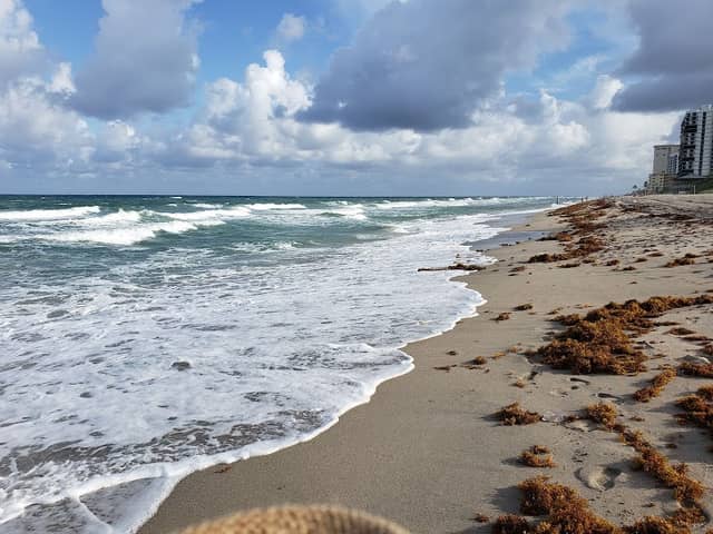 South Beach Park, Boca Raton - Image 3