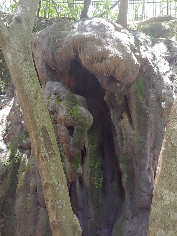 Fireman's Park - Image 2