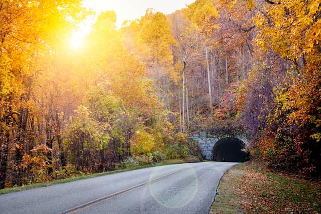 Pine Mountain Tunnel - Image 2