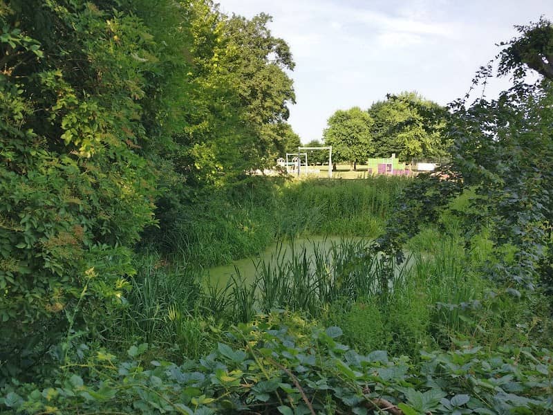 Knebworth Recreation Ground Pond - Image 2