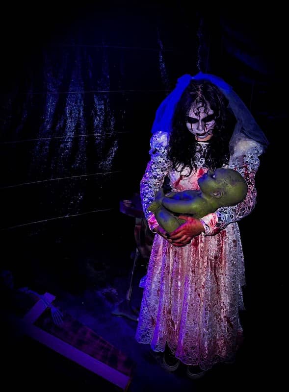 Rietvelds haunted corn maze - Image 2