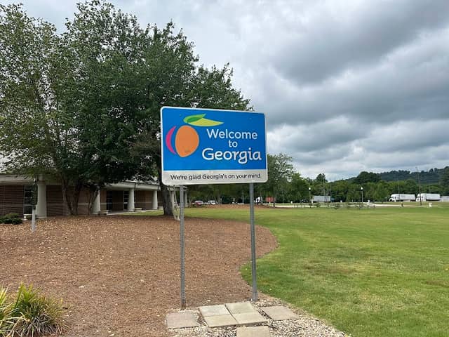 Welcome to Georgia State Sign - Image 1
