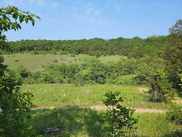 Valley View Glades Natural Area - Image 1