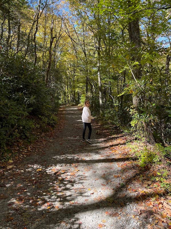 Ravenel Park - Highlands Cashiers Land Trust - Image 1