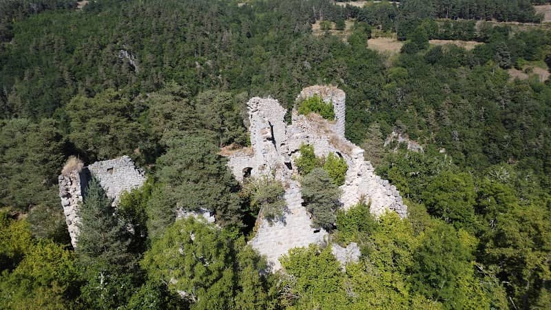 Château de la Garde - Image 1