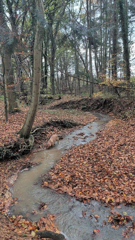 Stoney Field - Image 1
