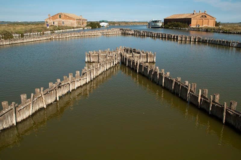 Valli di Comacchio - Image 1
