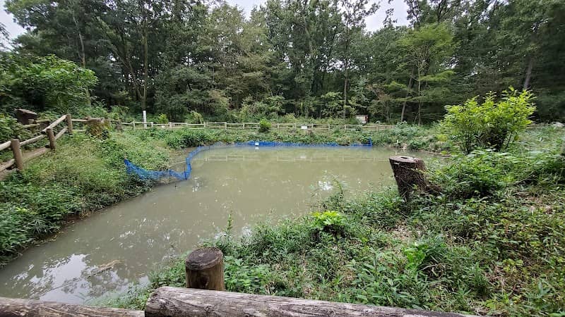 Futatsu Ike Ponds - Image 1