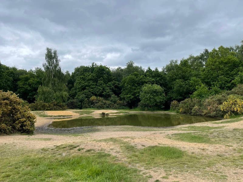 Mousehold Vinegar Pond - Image 2