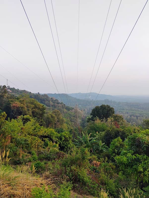 Mini ooty view point poomala - Image 1