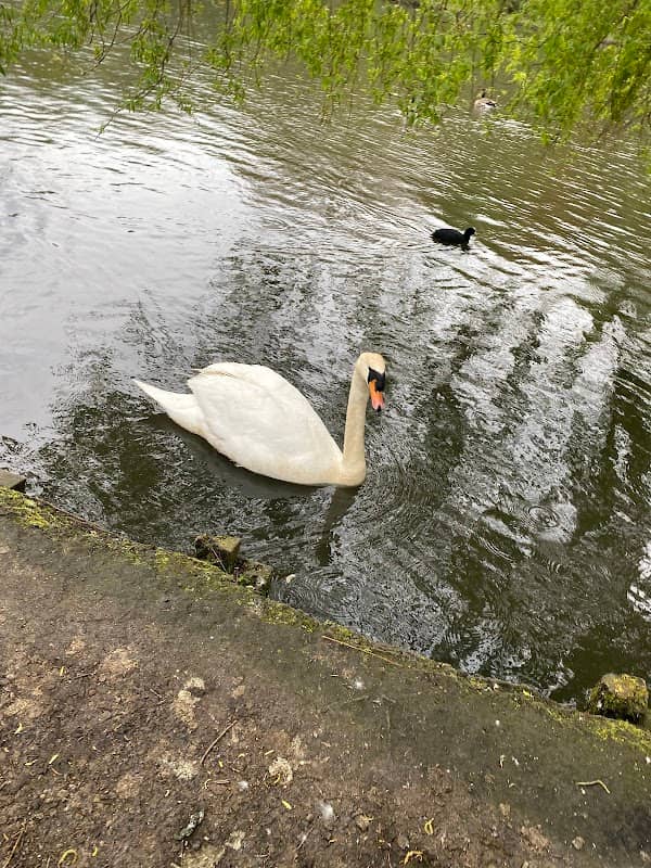 Moses Gate Country Park - Image 1