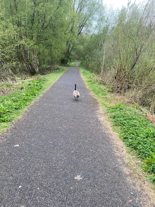 Moses Gate Country Park - Image 2