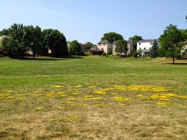 Colony Preserve - Image 2