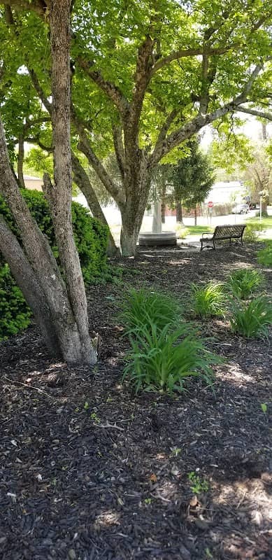 Memorial Park - Image 2