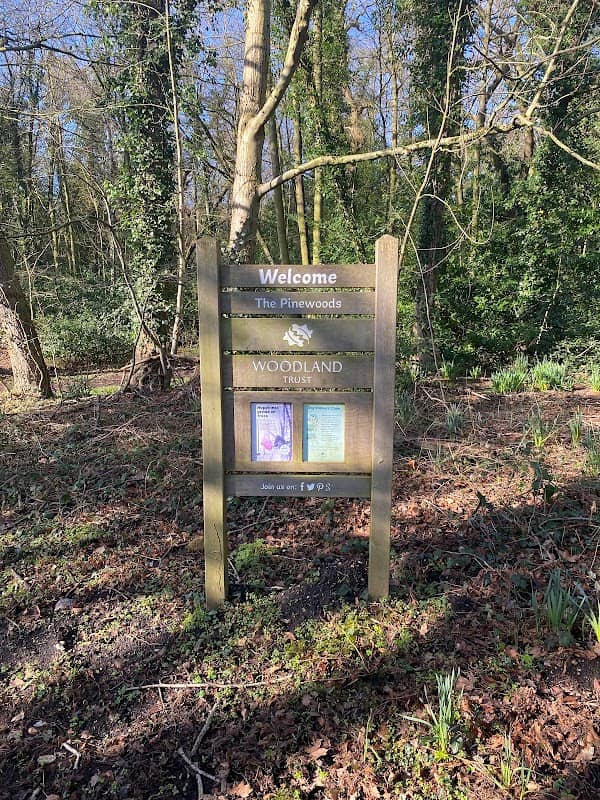 The Pinewoods Woodland Trust - Image 1