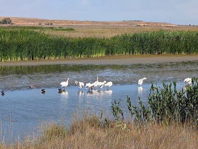 Baylands Nature Preserve - Image 1