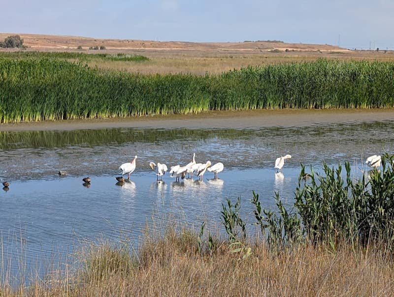 Baylands Nature Preserve - Image 1