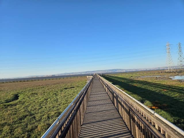 Baylands Nature Preserve - Image 2