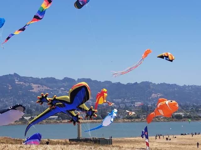 Berkeley Waterfront - Image 3