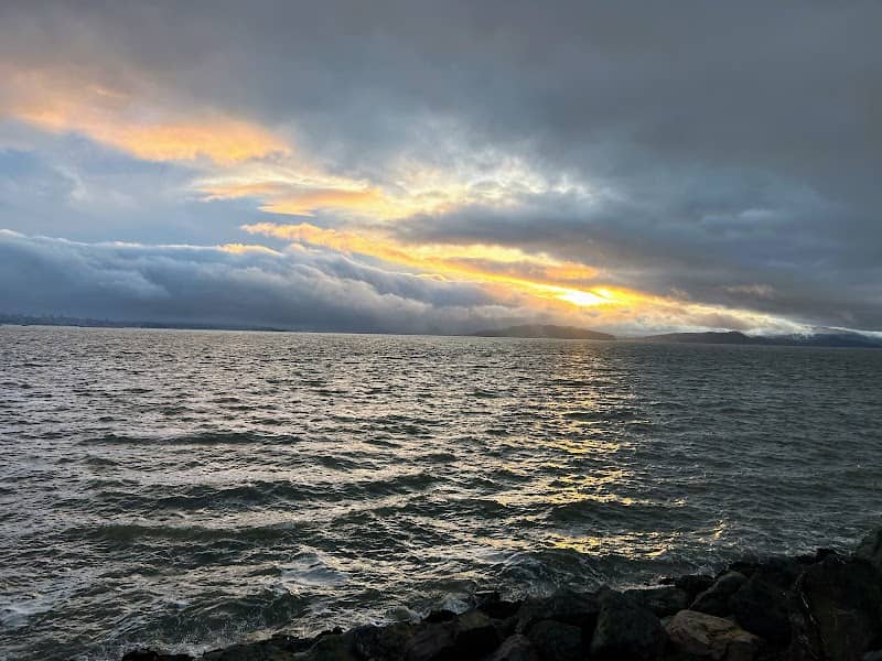Berkeley Waterfront - Image 1