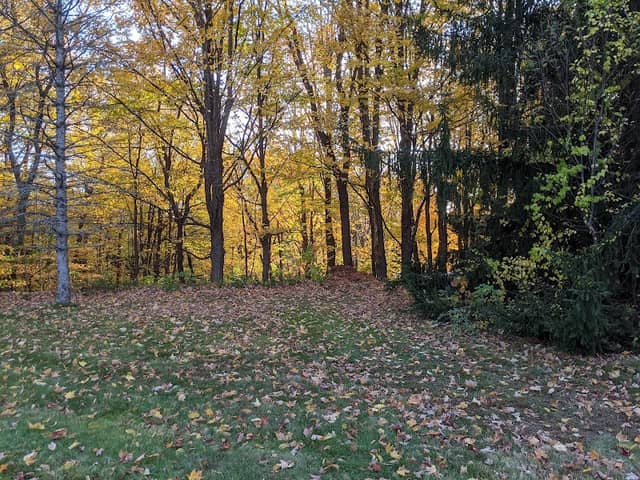 Abbott Park - Image 1