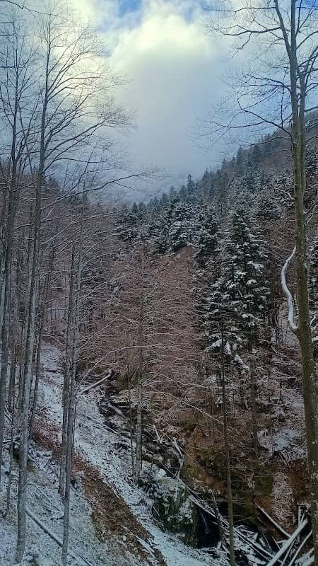 Valea moasei - Image 1
