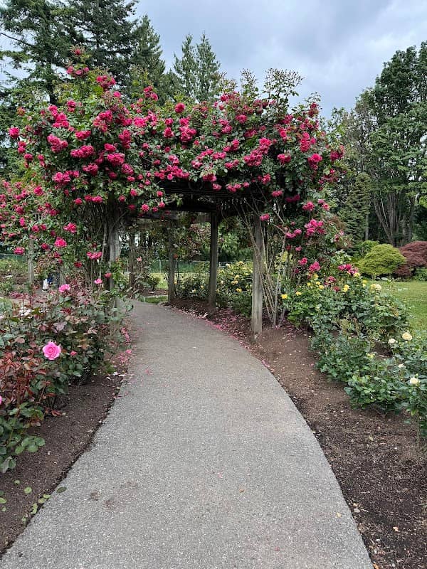 Burnaby Mountain Centennial Rose Garden - Image 1