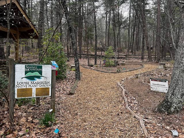 Indian Seats Viewing Deck - Image 3