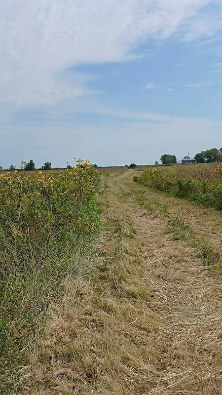 Fredericksburg Wildlife Area - Image 1