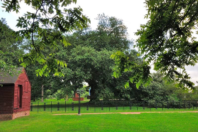 Emancipation Oak - Image 1