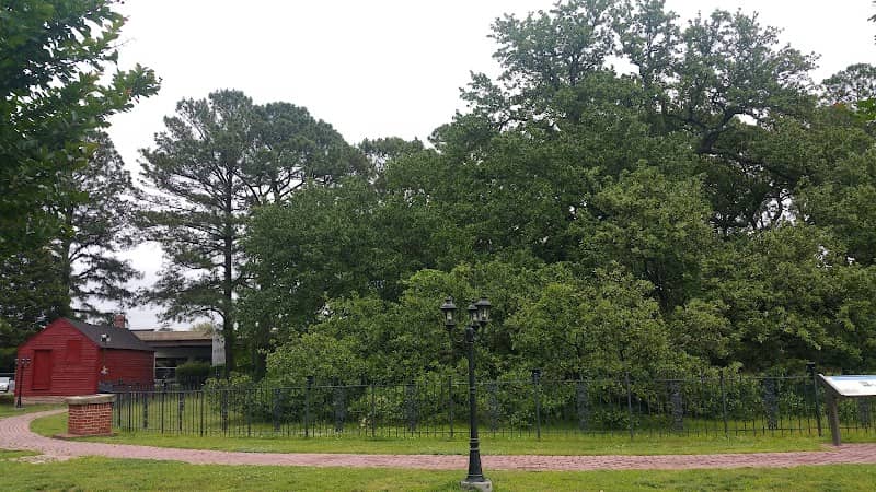 Emancipation Oak - Image 2