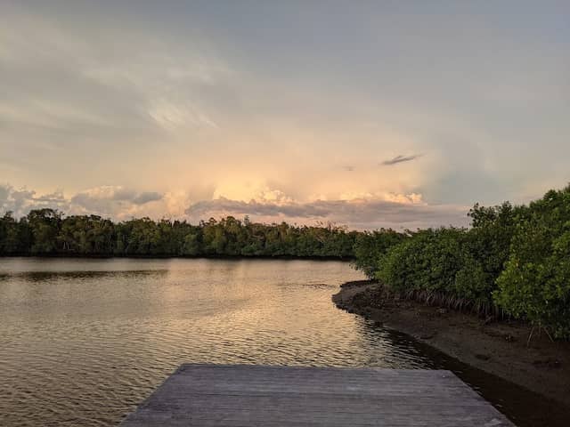 Gordon River Greenway Park - Image 2