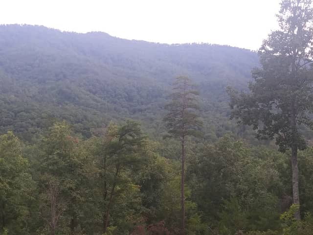 Mount Roosevelt State Forest - Image 1
