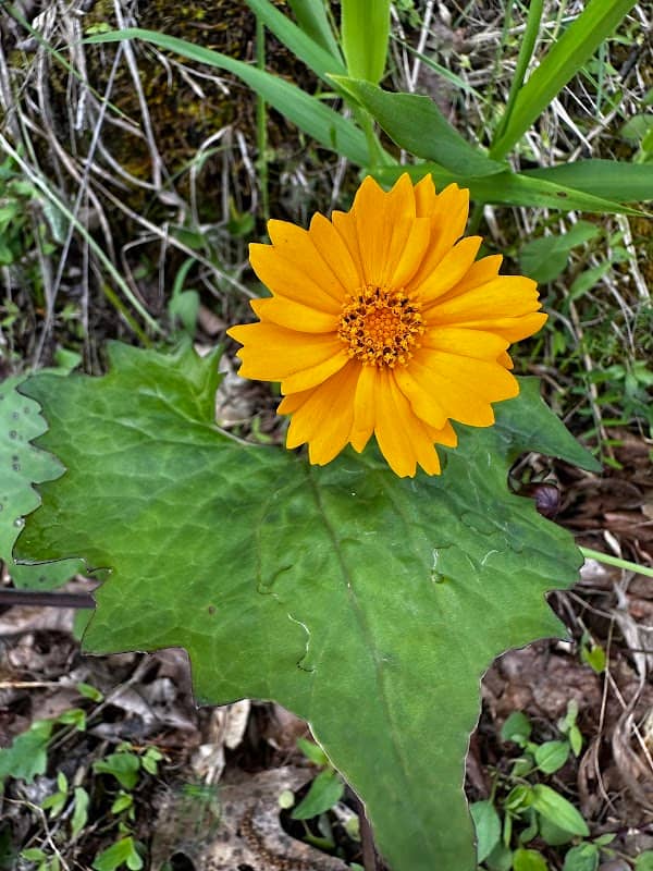 Tributary Nature Trails - Image 2