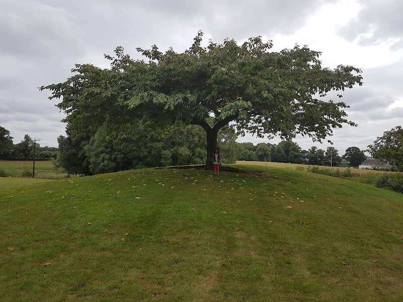 Scarva Park - Image 1