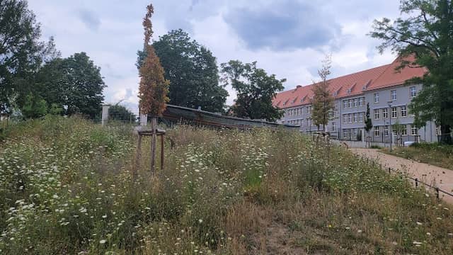 Flüchtlingsschiff Nr. 653 - Image 2