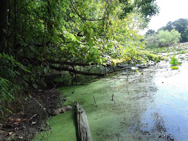 O'Connor Island - Image 2