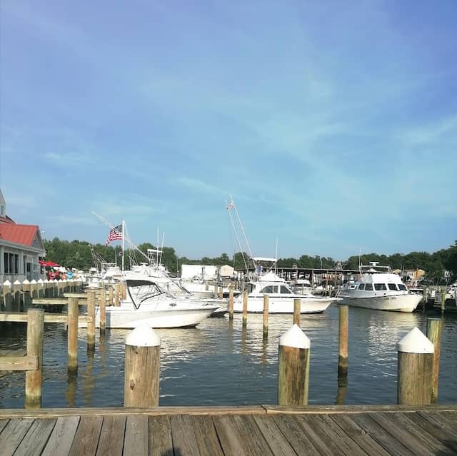 Kent Island - Image 3