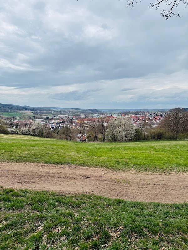 Kugelbaum - Image 3