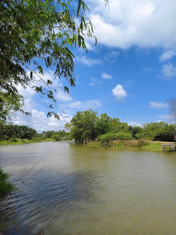 ยอใหญ่ ปากคลองบางแก้ว - Image 1