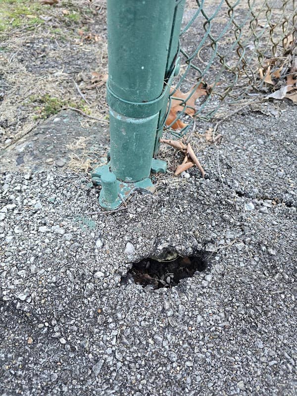 Throckmorton Park - Image 2