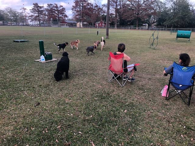 DeRidder Dog Park - Image 2