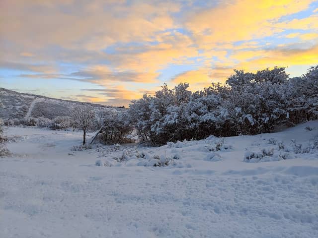 Rocky Point Preserve - Image 2