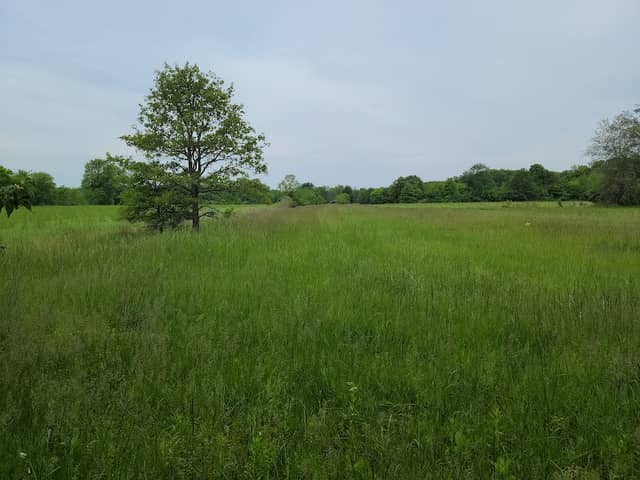 Posen Woods - Image 1