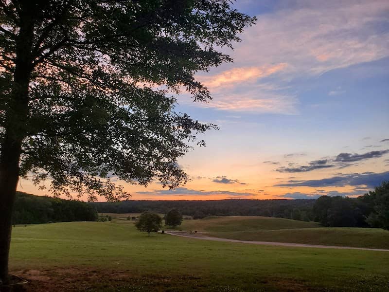 Chattahoochee Hills Show Facility - Image 1