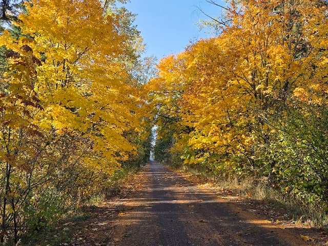 Yelm Prairie Line Trailhead - Image 2